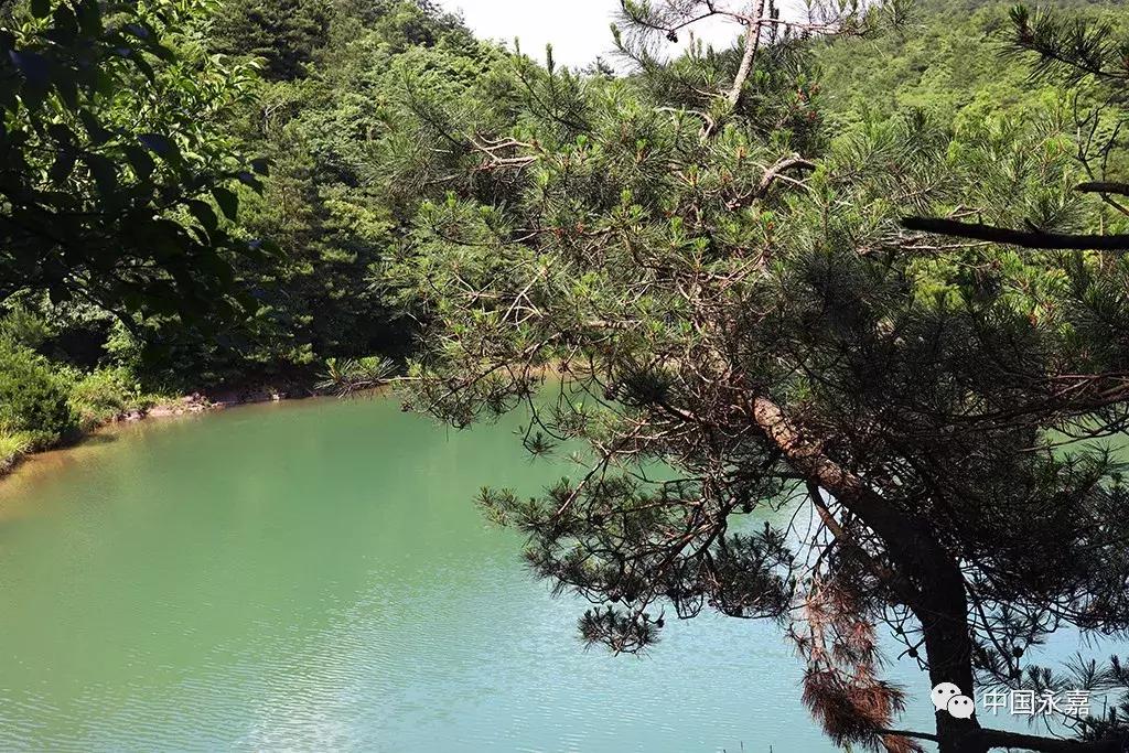 永嘉第一高山在哪里,永嘉楠溪江哪个景点最值得去