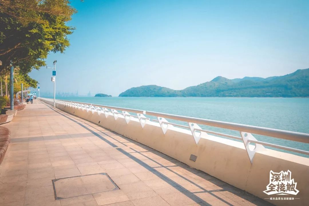 再见了,香港!深圳这条街也能免税买港货啦