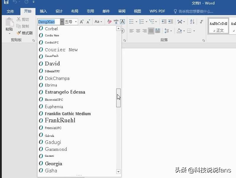 word和wps字体设置不了中文字体,wps选择语言里没有中文字体