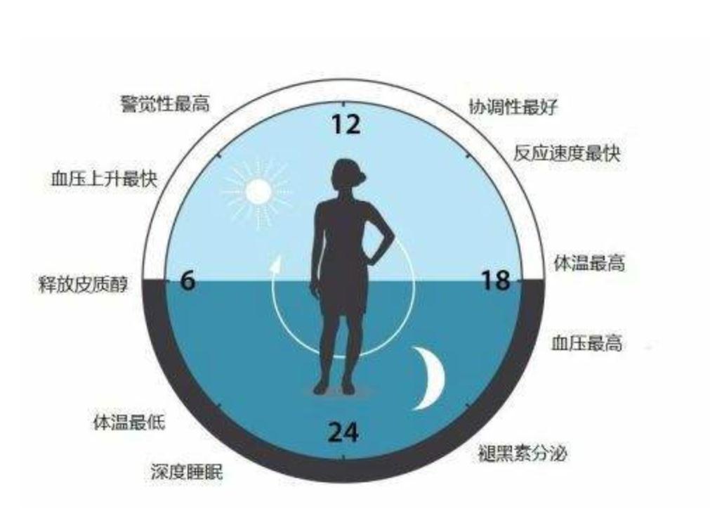 向日葵向阳生长是哪种生命现象,向日葵向阳生长的原因