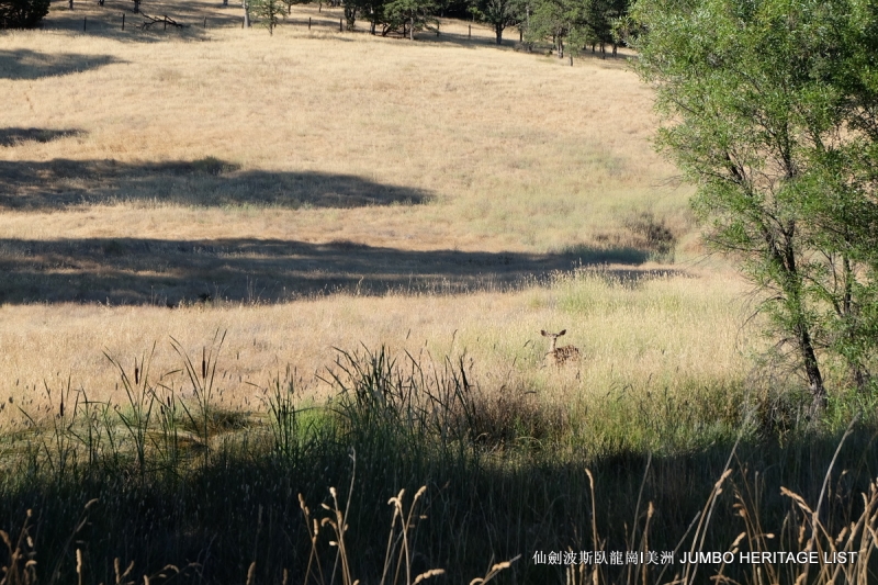 第3045回:人生一世草生一春,来如风雨去似微尘