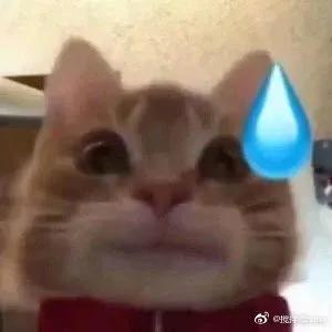 双十一临近你真的准备好了吗,临近双11