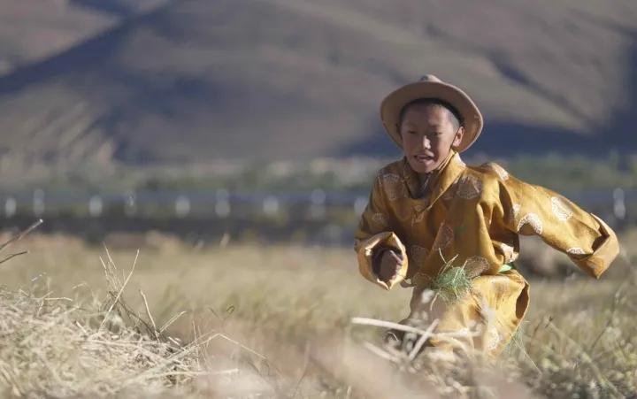 珠峰穿越之行,珠峰下的快递