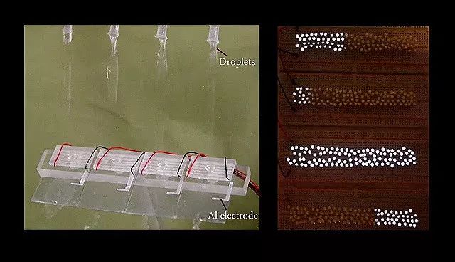 河南水力发电机 (水力发电机怎么样)