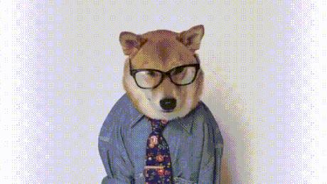 宅在家里能做点啥,宅在家里可以玩些什么