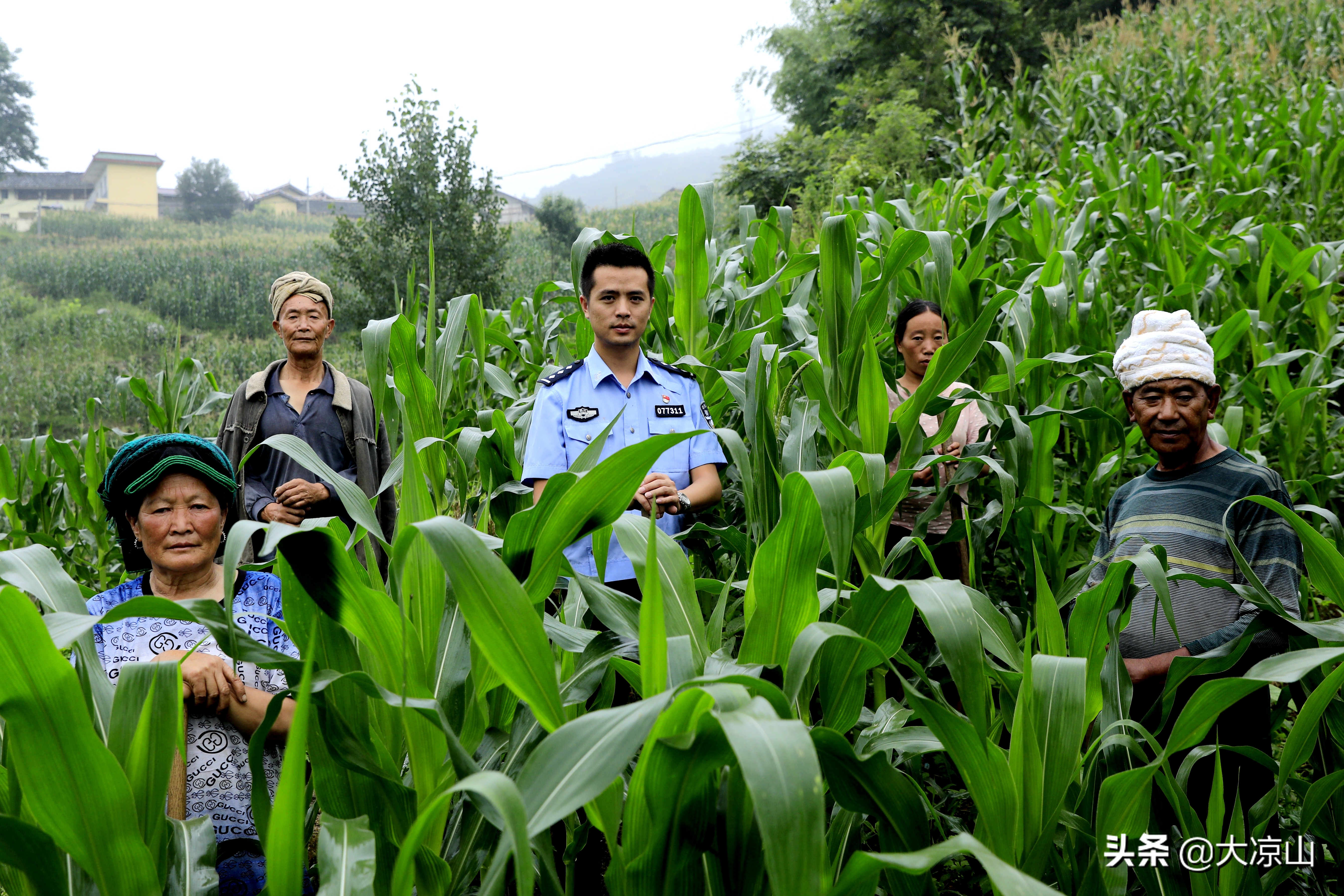 扎实开展精准帮扶助力脱贫攻坚,甘洛县脱贫攻坚最近工作