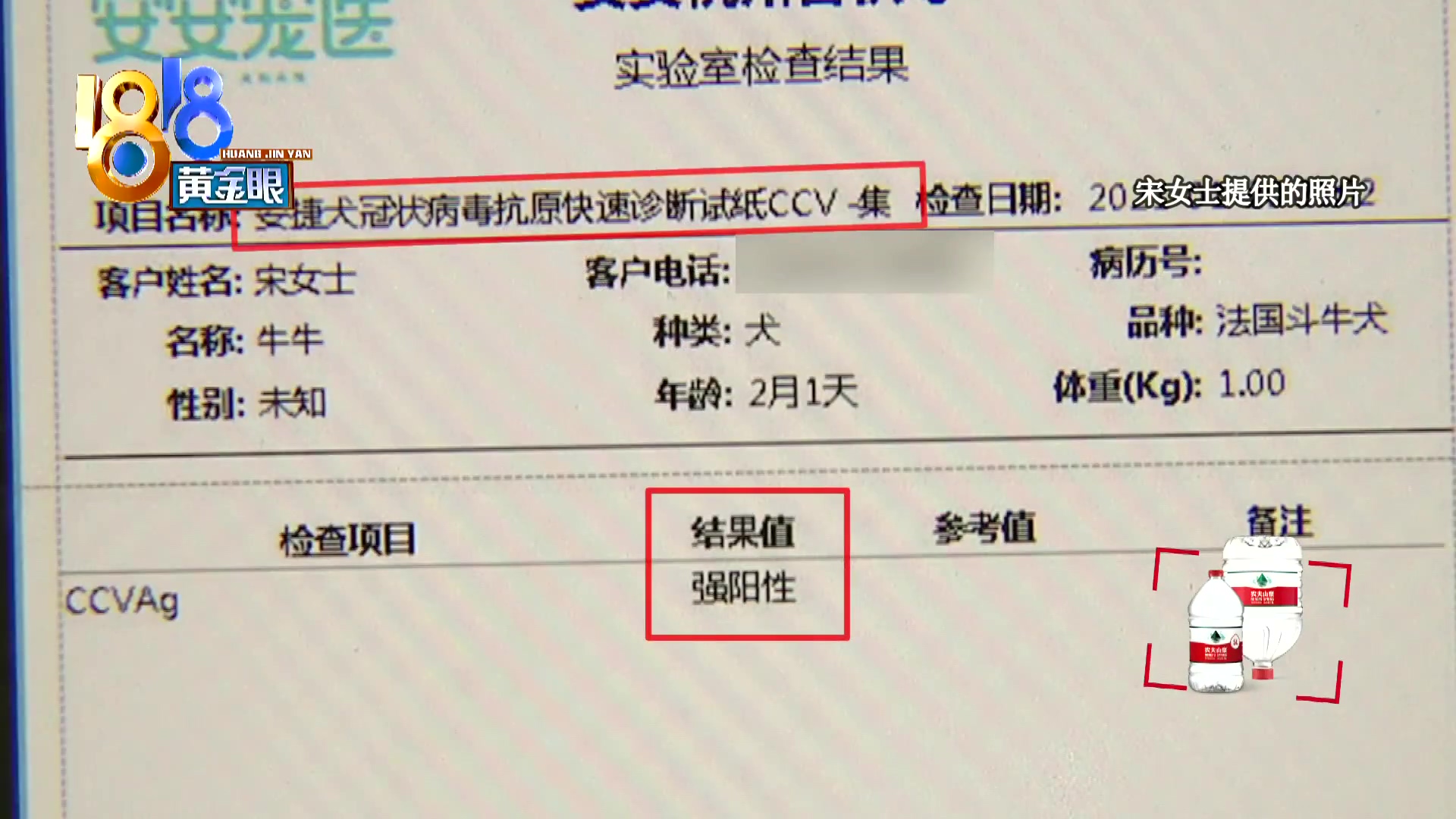 刚买10天不到的小狗被炖了,买来三天小狗就腿站不直了