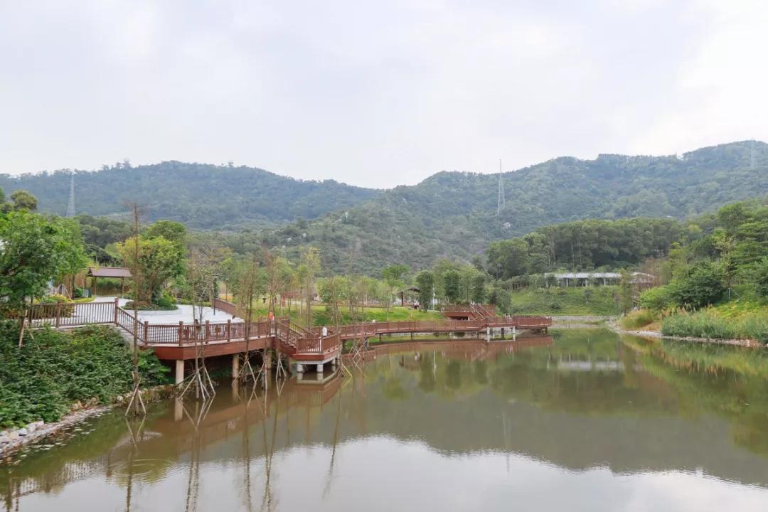 簕竹杜鹃谷公园,好看的杜鹃谷公园