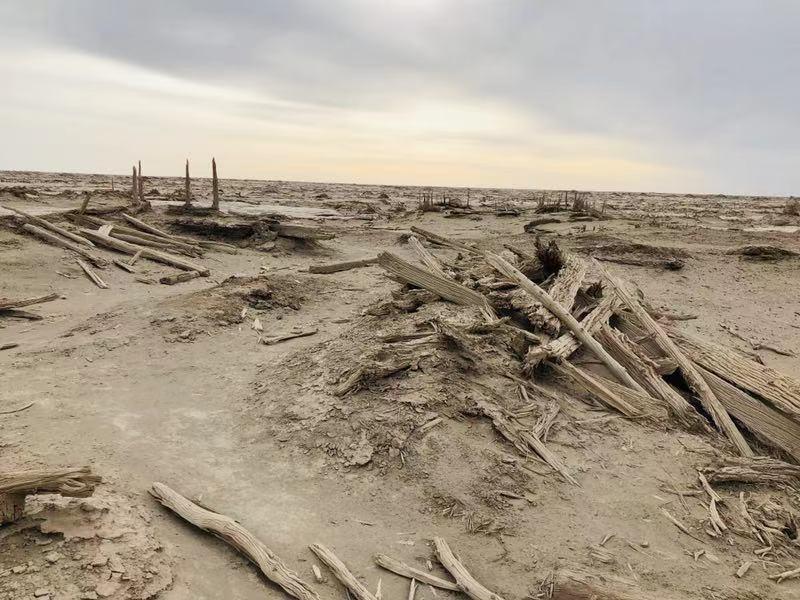 中国最贵门票楼兰古城,楼兰古城门票为什么那么贵