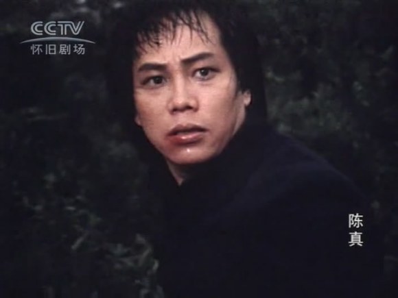 梁小龙陈真动作解析,梁小龙陈真腿功