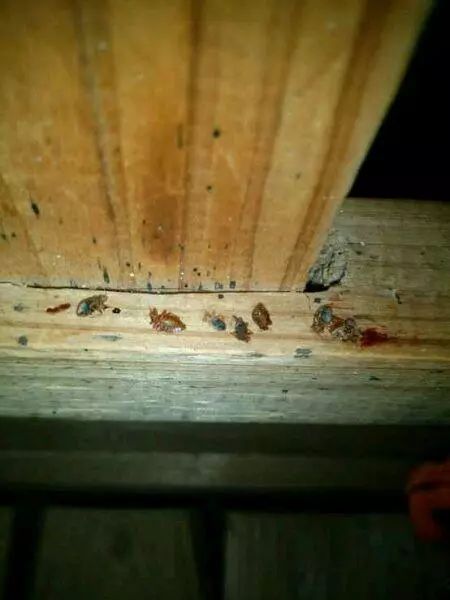 一位摄影师拍摄照片的全过程,一个摄影师拍摄6年