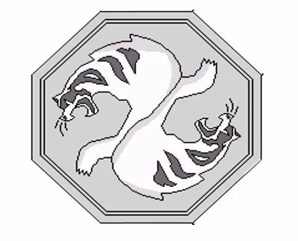 12符咒能力分别是啥,12符咒的能力是什么