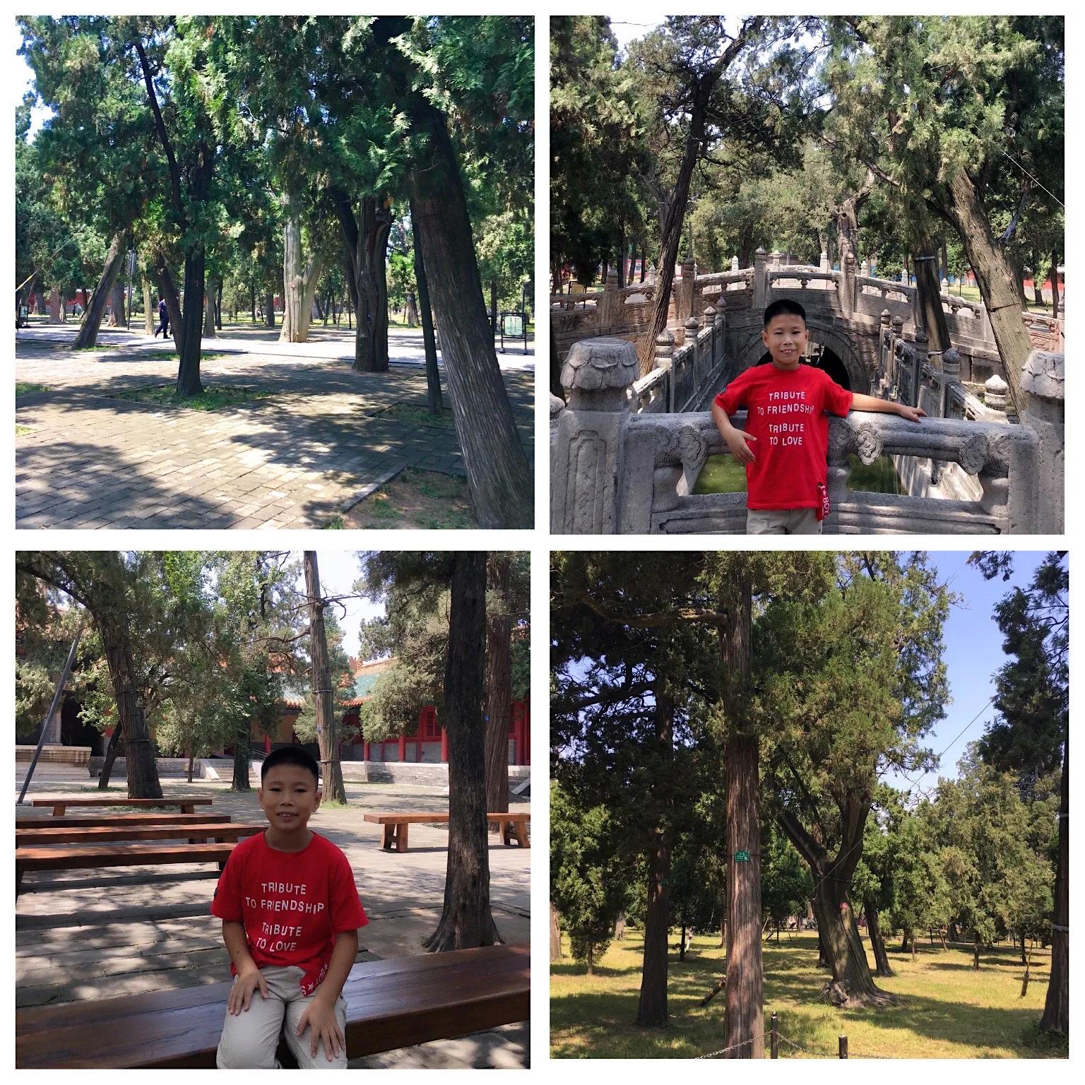 父子万里行,携手走天下(第31集曲阜篇)