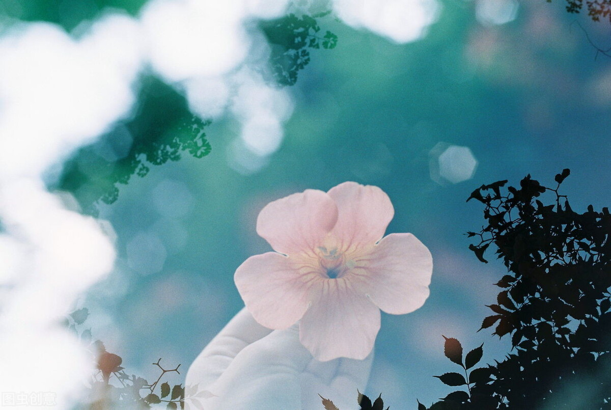 疯狂人类进化史3解析,解读疯狂人类进化史4