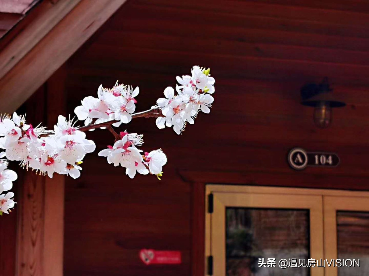 人间四月芳菲天,最美春天在房山——蒲洼行记