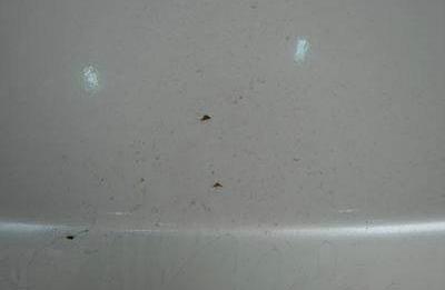 车漆表面的麻点是什么造成的,车漆麻点生锈