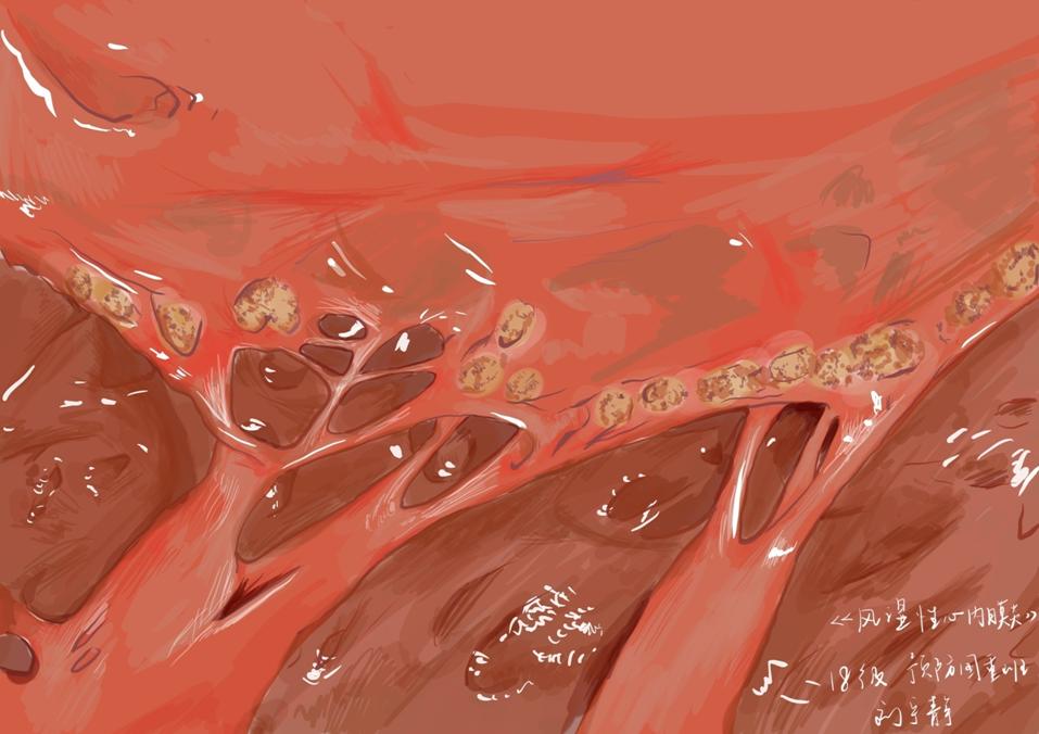 生命的故事绘本电子版,生命的故事图片