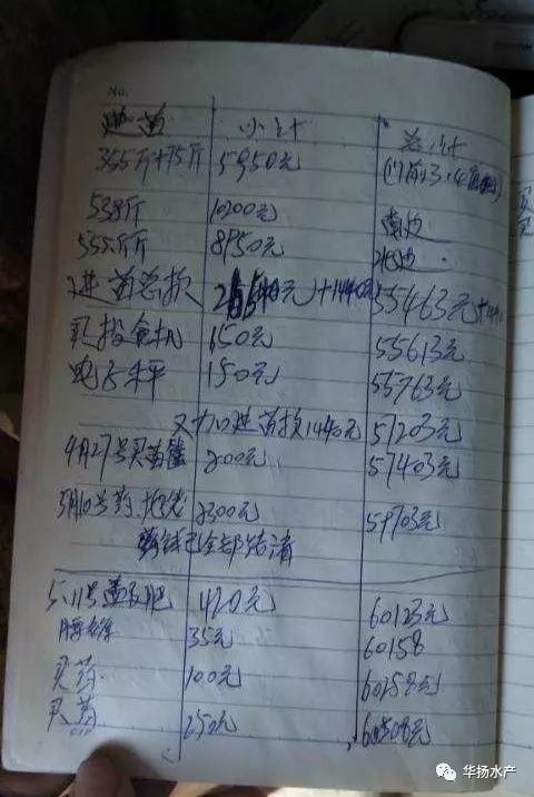 小龙虾如何养殖才能挣钱,小龙虾养殖技术成本与利润致富经