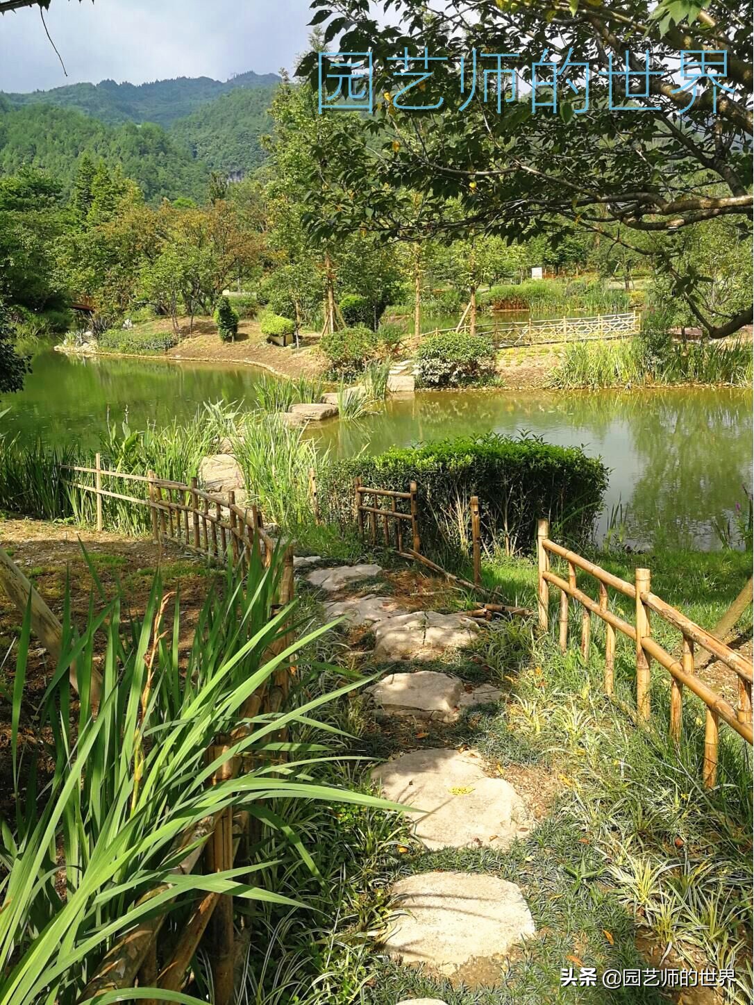 花园科学实验,花园案例及解析