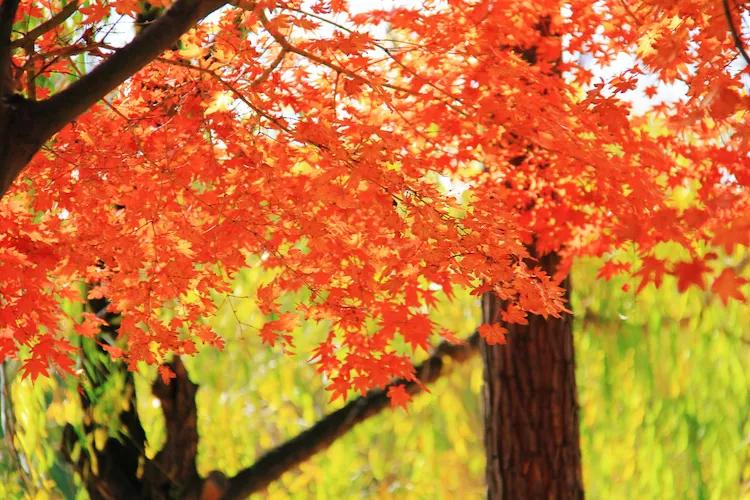 尼康入门单反,单反快速入门攻略