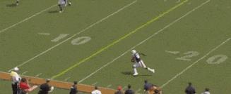 搞笑的gif动图辣眼睛啊,搞笑gif这次应该能吃回本了吧