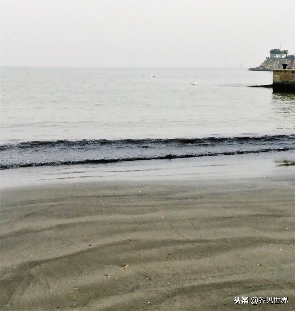 澳门值得打卡的景点,澳门打卡必去景点晚上