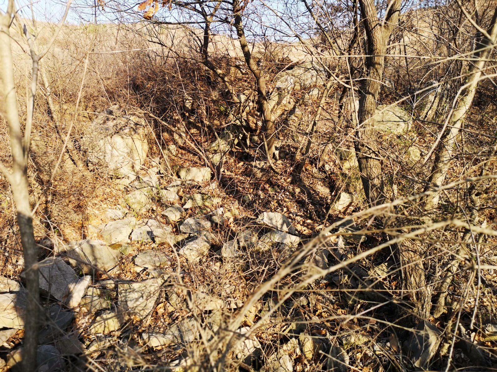 摩托周边旮旯游——探访蚌埠李楼鲁山寺遗址（上）