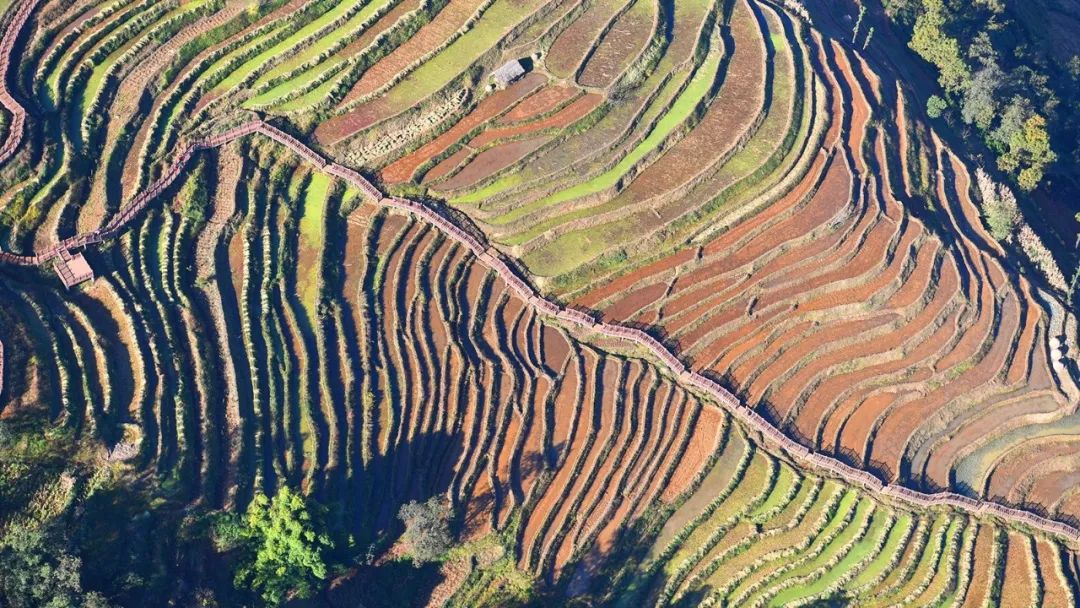 成都4天3夜旅游攻略,成都出发九寨沟川西四日小环线