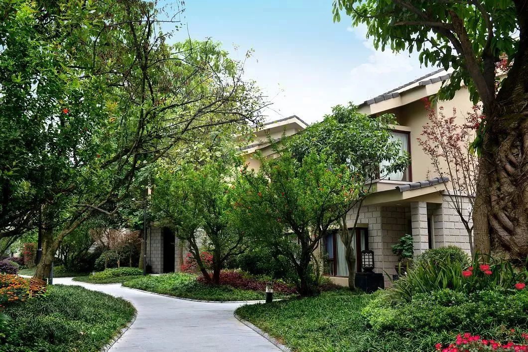 总统酒店378元一晚,总统住的酒店多少钱