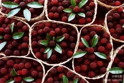 李福信《梅溪》心香文艺