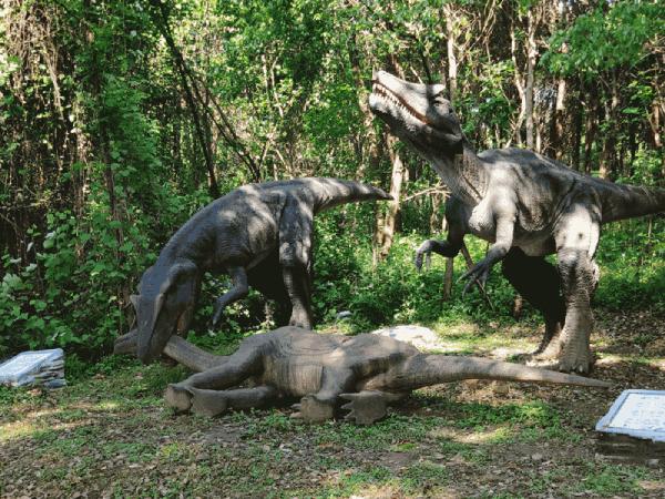 清明踏青，去悦兮半岛寻找春天的快乐