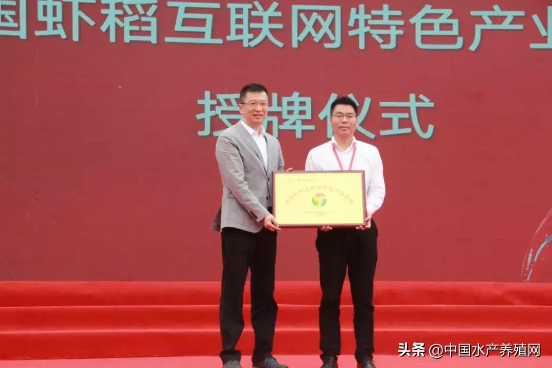 潜江稻田小龙虾产量,虾稻米产量