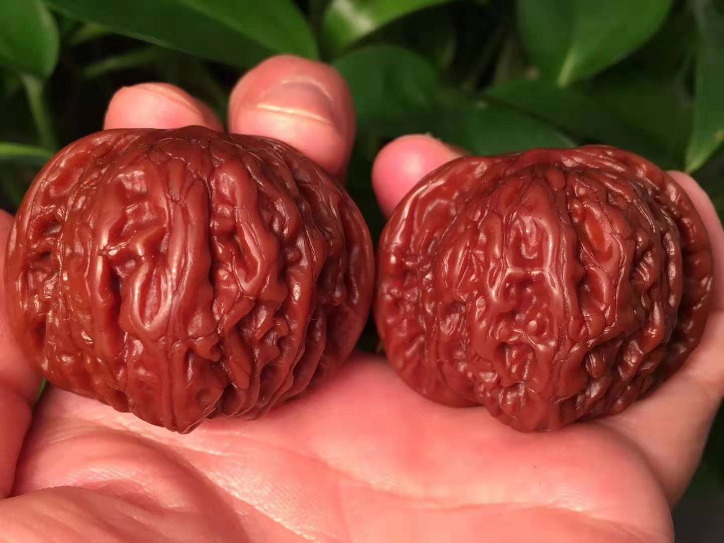 文玩核桃如何盘才能有效,刚入手的文玩核桃怎么盘