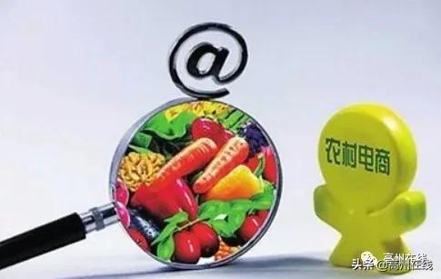 大事！高州要大力发展农村电商！建24个镇级农村物流服务站