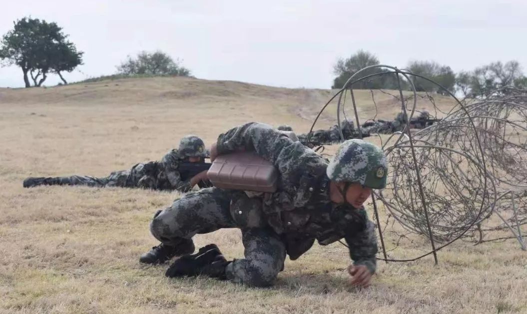 视点|看了才信!这个旅的“生命线”活力迸发