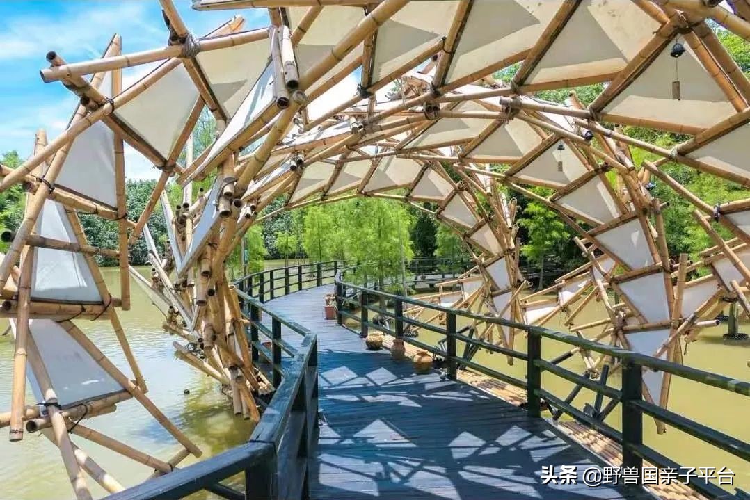 广州遛娃出游,广州遛娃3-4天攻略