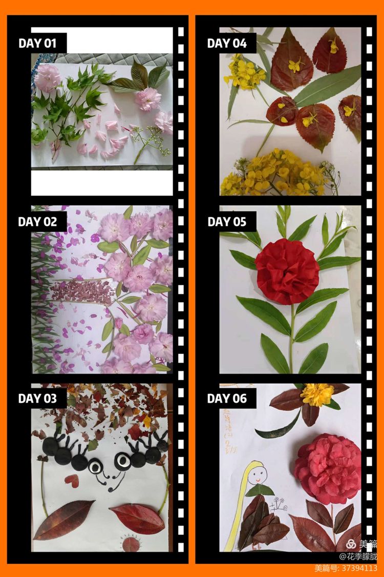 春雨润童心清明祭情怀