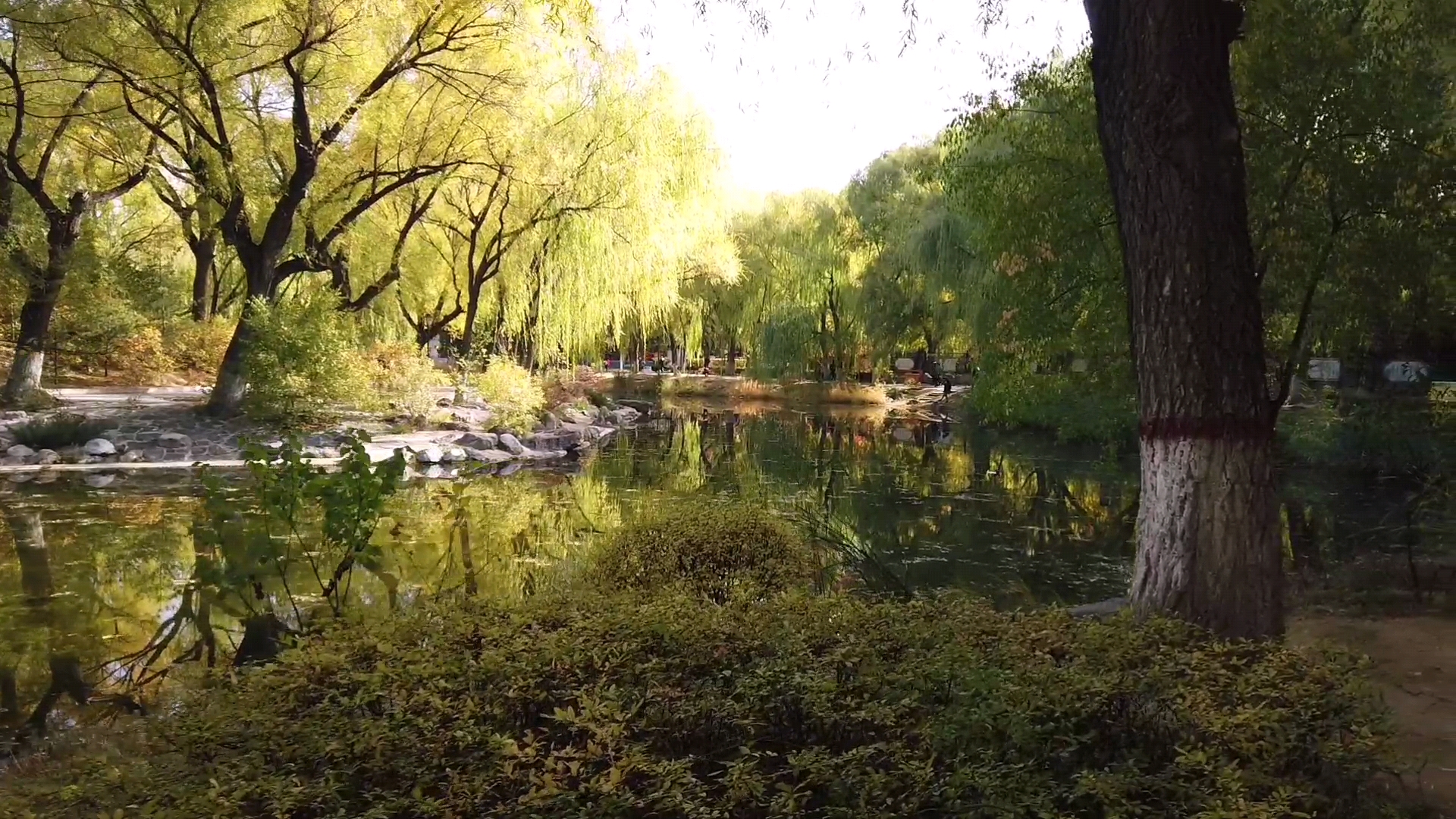 呼和浩特满都海公园晚上,呼和浩特市满都海公园有什么特点