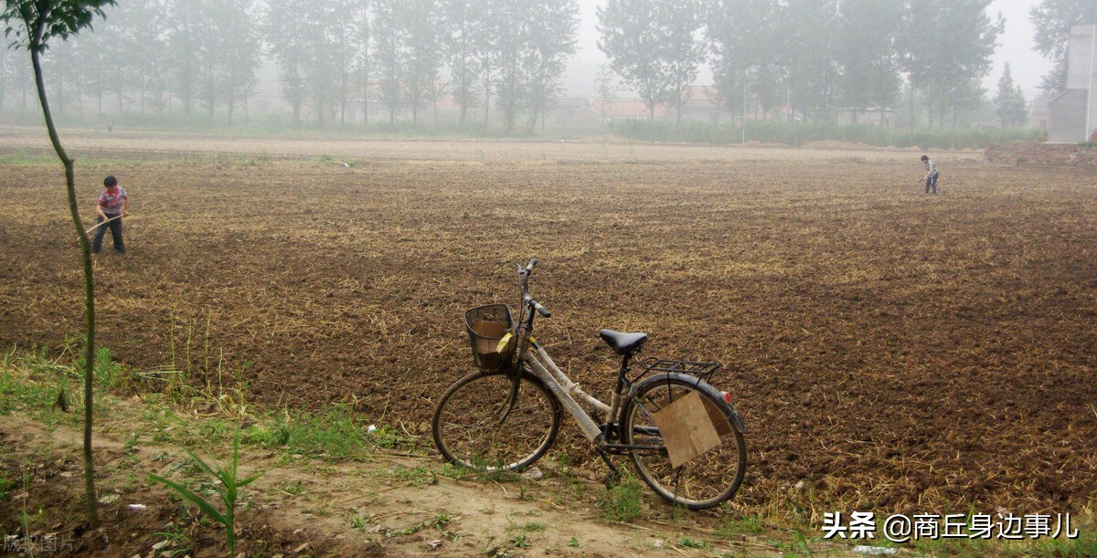 睢县涧岗集老木匠驹爷,一口气生了五个儿子,柱,栋,梁、檩、椽