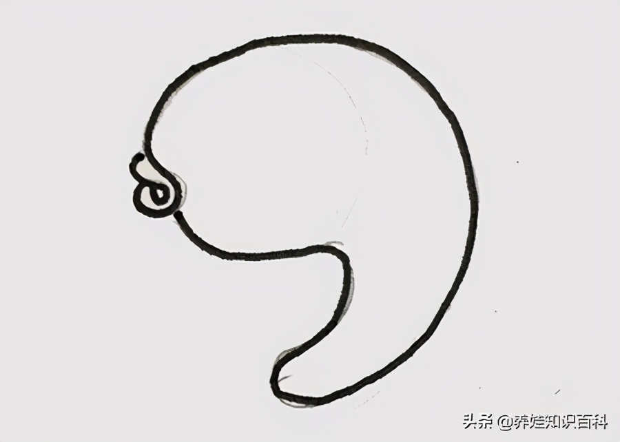 小鱼怎么画可爱好看,小鱼怎么画多种的