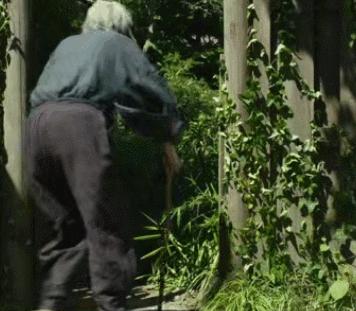 没想到日本国宝级画家，竟过着这样的生活！