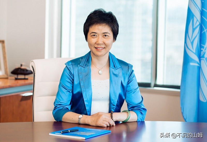 联合国15个专门机构的领导一览表,联合国各组织机构官员