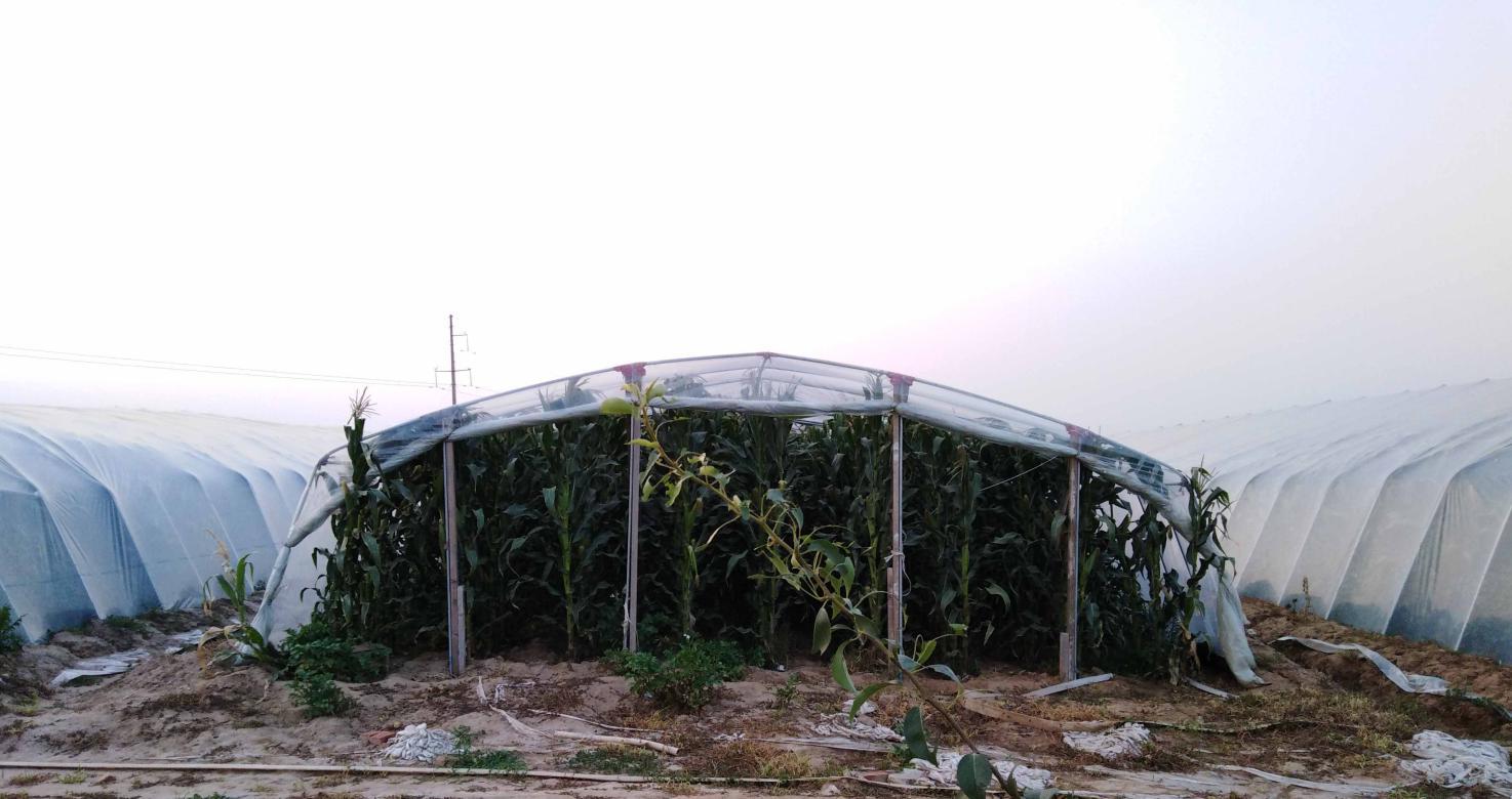 如何打造生态农庄,生态农庄经营方案