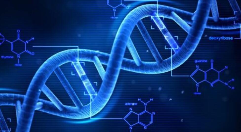 科学家发现史前恐龙生命强大,中国科学家已经复活恐龙了吗