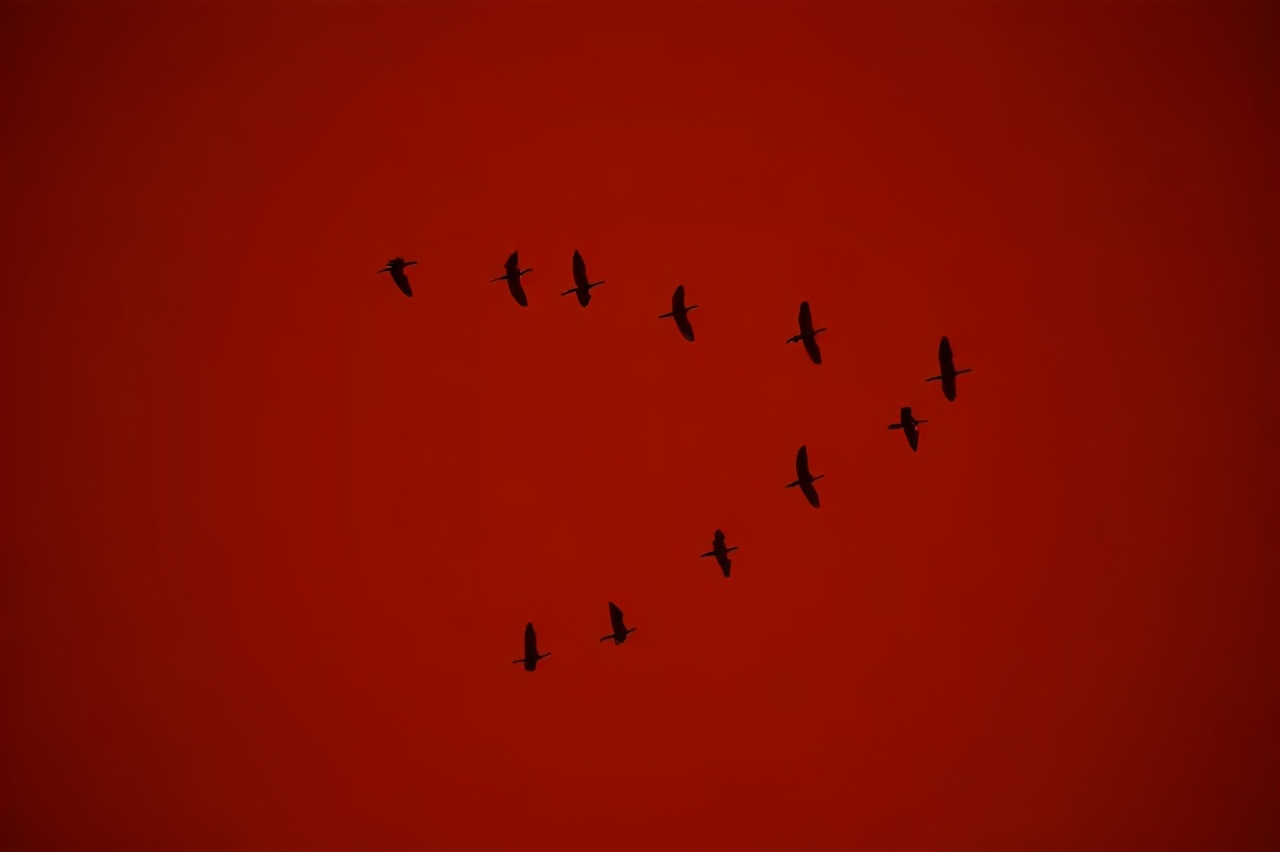 欣赏生活中的旋转之美,生活中的几何原理