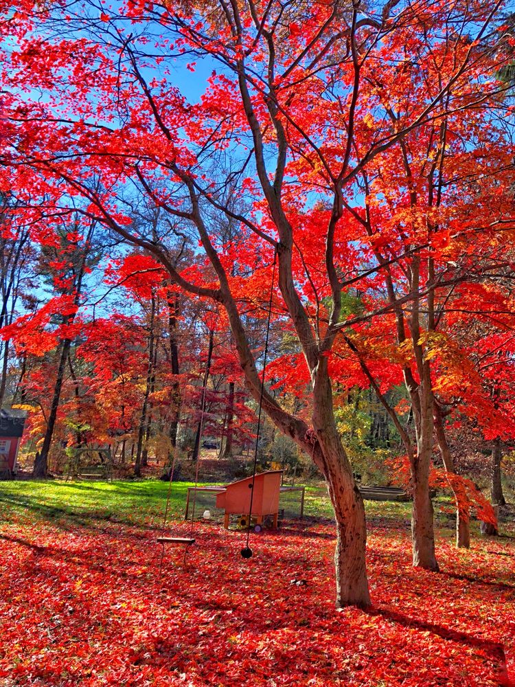 后期调色是怎么回事,后期调色多难