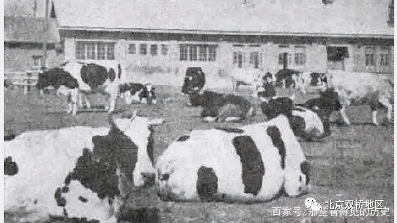 从古代到现在双桥从版图中心点看历史演变路线图