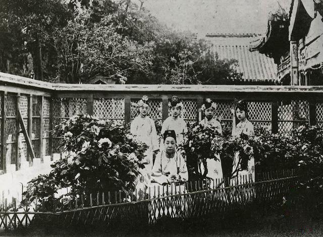 早餐要吃酱肘子，对太后位置不感冒，这位妃子究竟有多“奇葩”