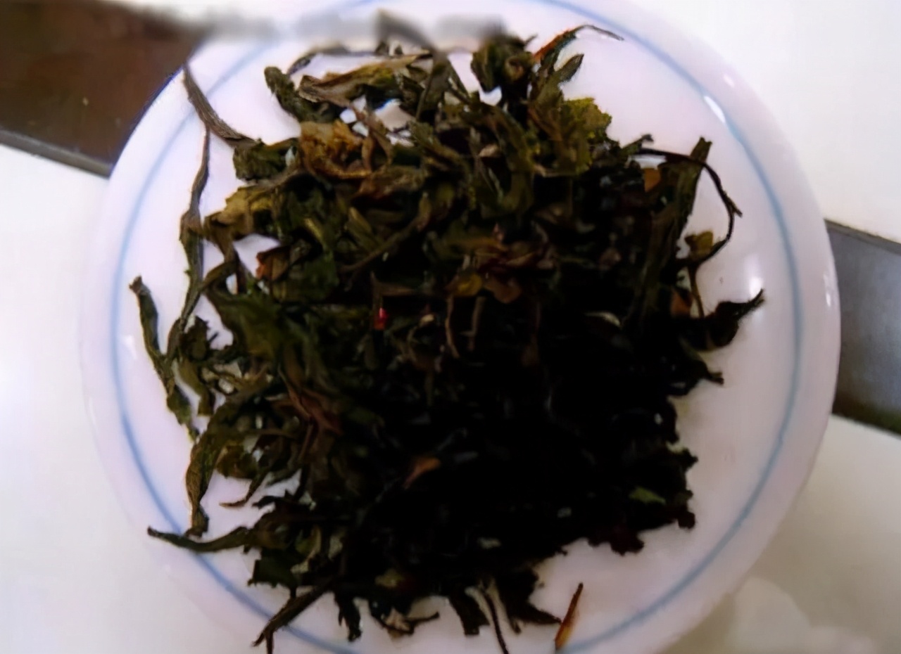 去化州一定要吃什么,化州游玩记