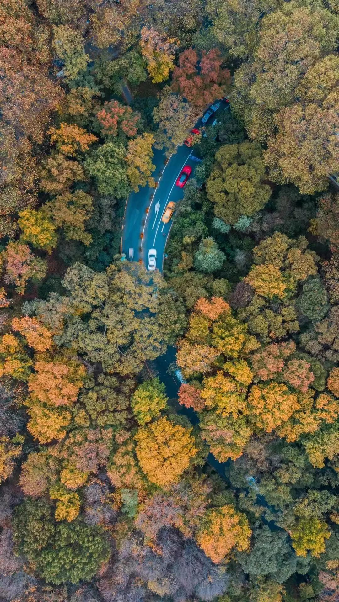 南京是属于哪个省的,南京是现在的哪个城市